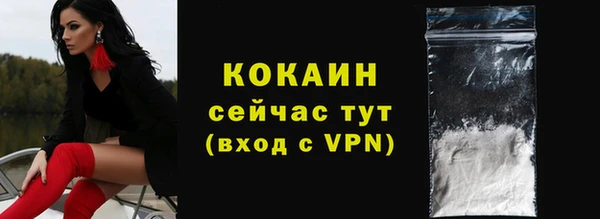 дживик Сатка