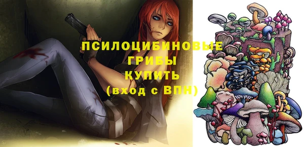 бутират Белокуриха